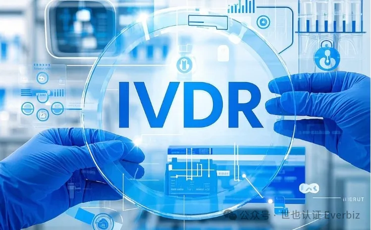 一图看懂 IVDR 性能研究（第3篇