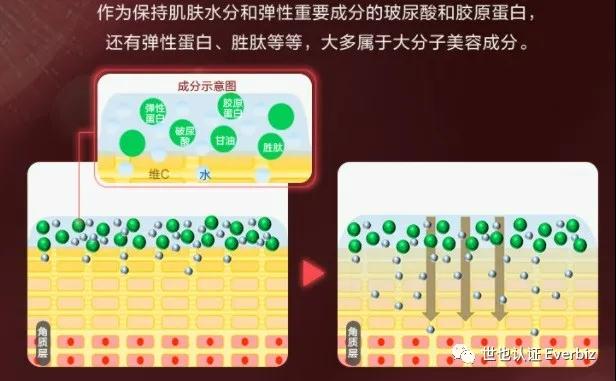 微信图片_20211202135838 微信图片_20211202135838
